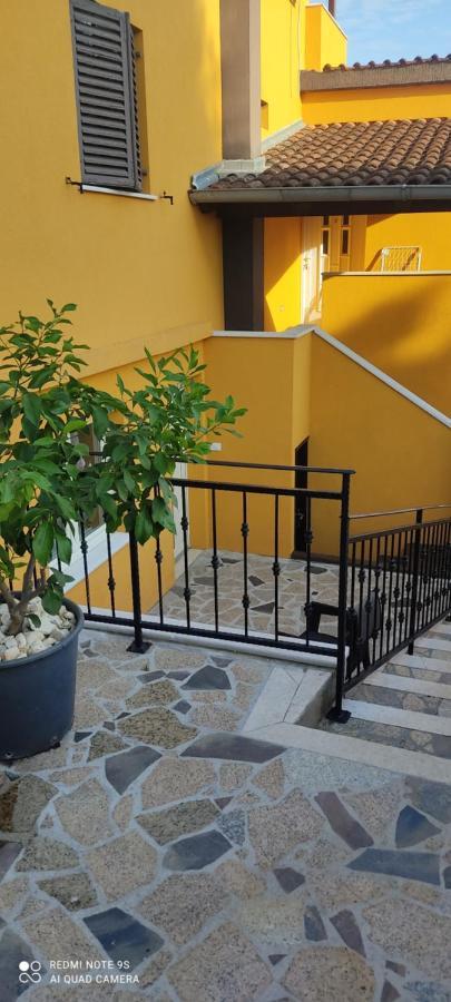Apartments Sandra Vrsar Dış mekan fotoğraf