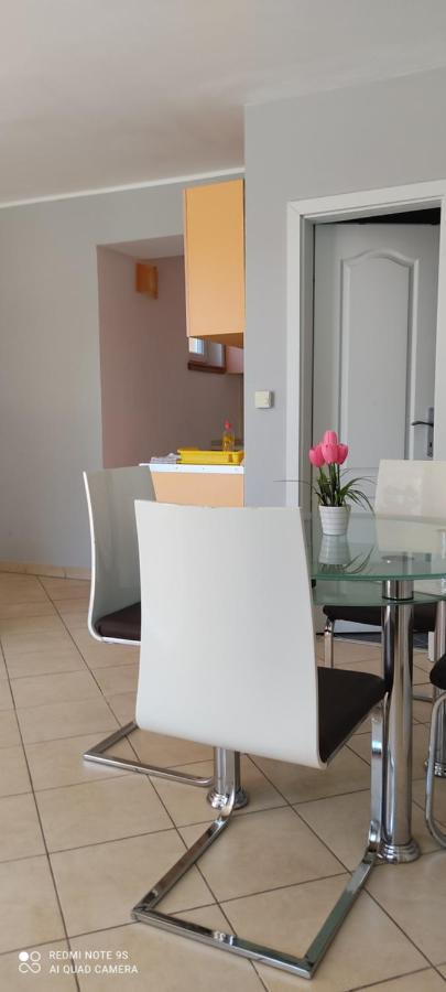 Apartments Sandra Vrsar Dış mekan fotoğraf