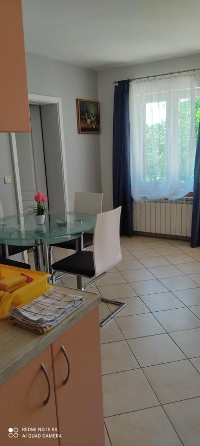 Apartments Sandra Vrsar Dış mekan fotoğraf